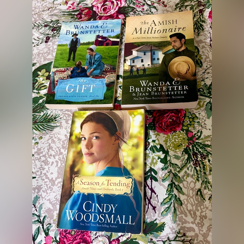 Amish Fiction Book Set
